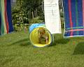 DSC00180.JPG
